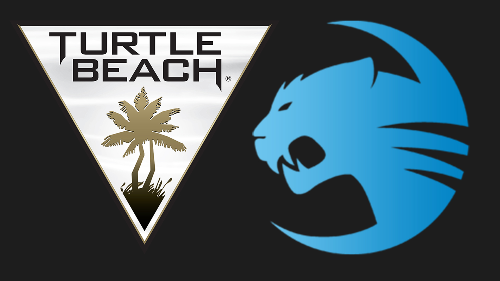 Turtle Beach Corp Logo , HD Wallpaper & Backgrounds