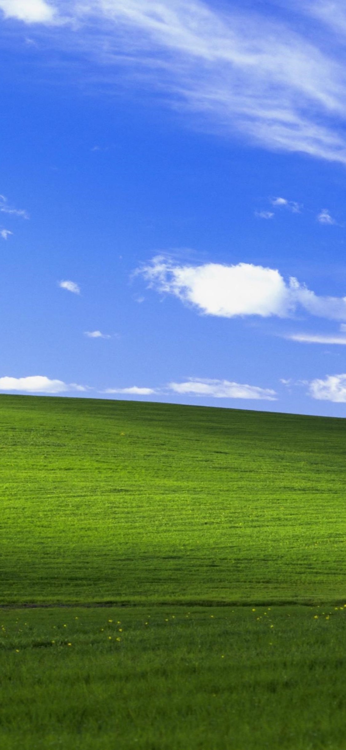 Windows Xp Bliss 4k - Windows Xp Wallpaper Phone , HD Wallpaper & Backgrounds