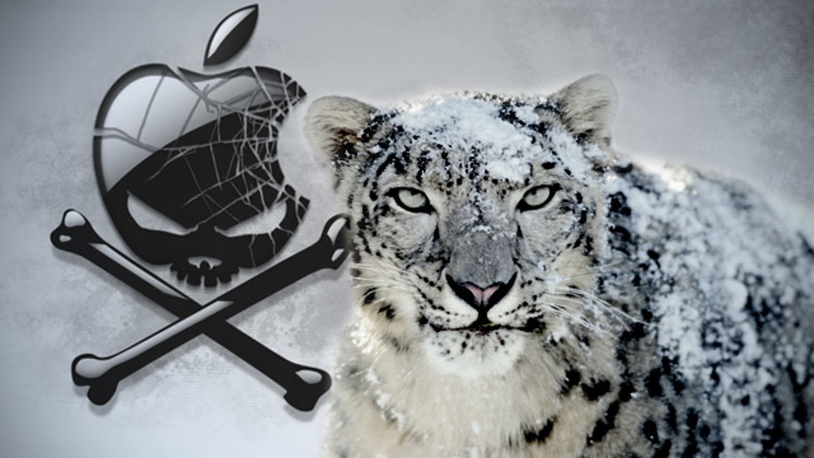 Snow Leopard Illustration Iphone Wallpaper Best Of - Osx Snow Leopard Background , HD Wallpaper & Backgrounds
