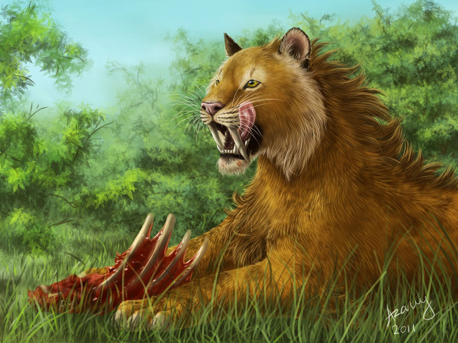 Related Wallpapers - - Saber Toothed Tiger Eating , HD Wallpaper & Backgrounds