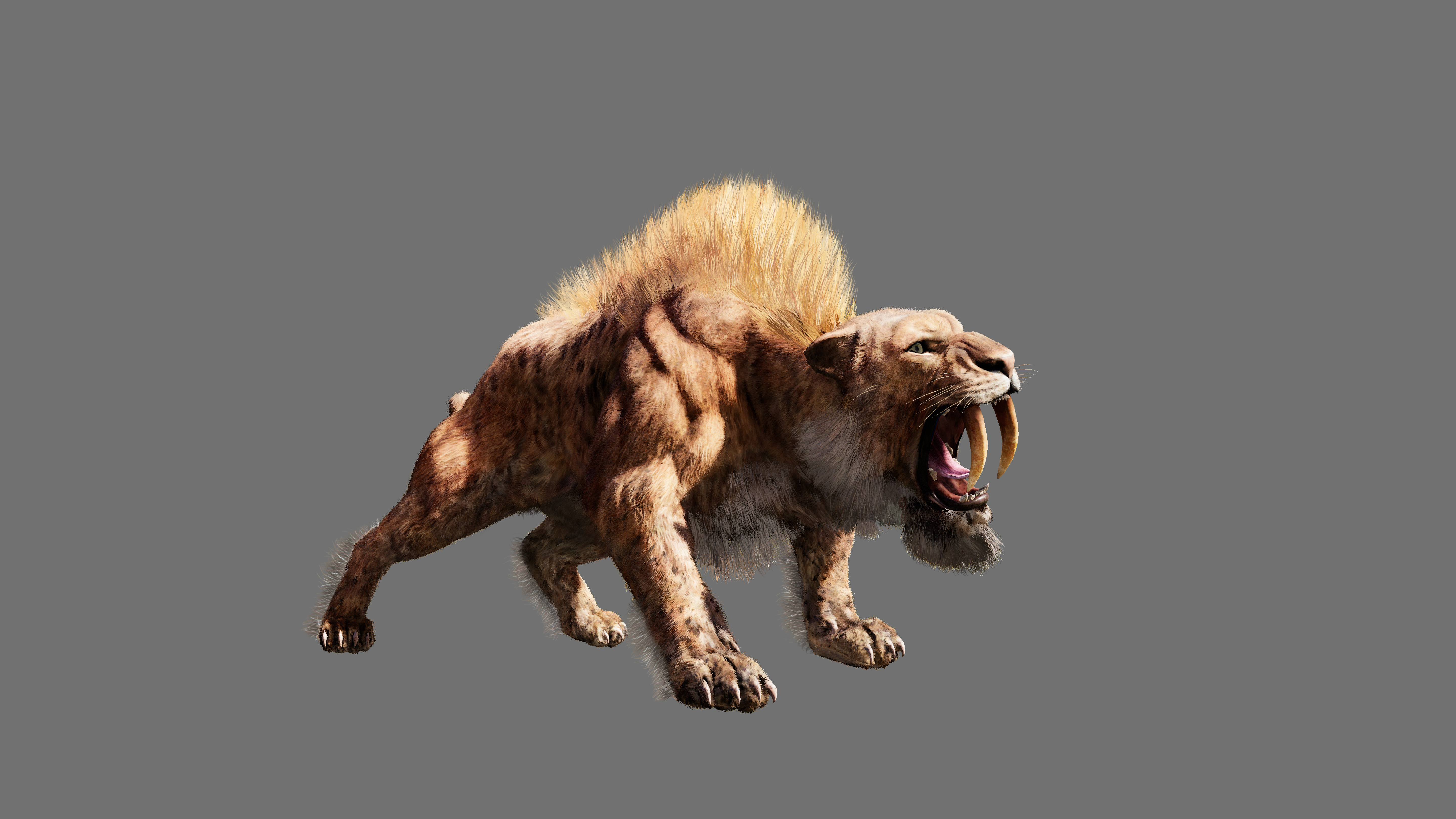 Saber Tooth Tiger Wallpaper Hd - Andrewsarchus Vs Smilodon , HD Wallpaper & Backgrounds