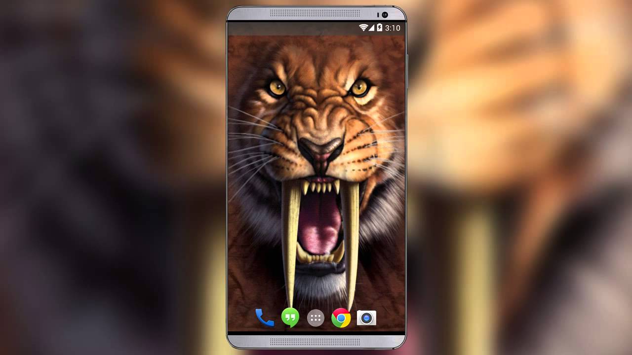 Saber Tooth Live Wallpaper - Saber Tooth Tiger Eyes , HD Wallpaper & Backgrounds