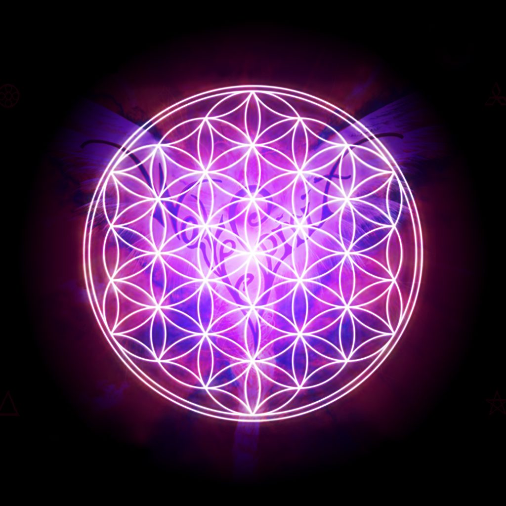 Sacred Geometry Wallpaper Hd - Gold Flower Of Life Transparent , HD Wallpaper & Backgrounds