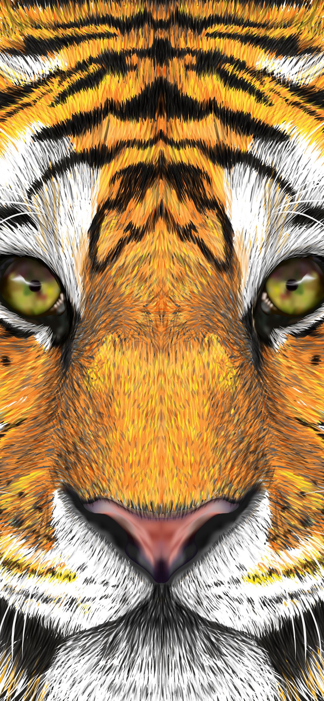 Transparent Tiger Face Png , HD Wallpaper & Backgrounds