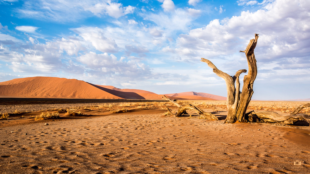 Sossusvlei Namibia Desert 4k Wallpaper / Desktop Background - Desert 4k , HD Wallpaper & Backgrounds
