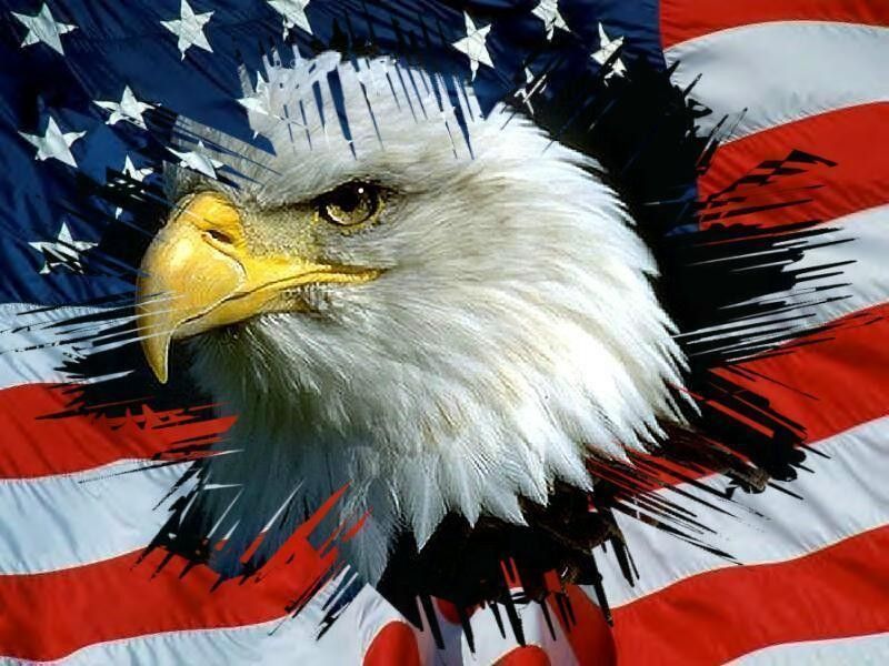 Eagles Flags Usa Uncle Sam Patriotic Redneck Fresh - Bandera De Eeuu Con Aguila , HD Wallpaper & Backgrounds