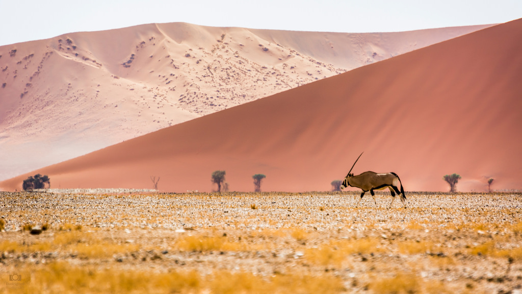 Namibia Desktop , HD Wallpaper & Backgrounds