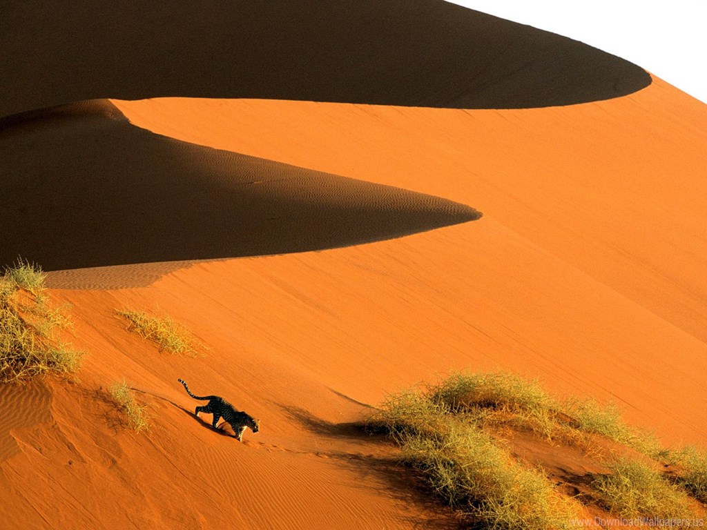 Namibia Dunes Sossusvlei , HD Wallpaper & Backgrounds