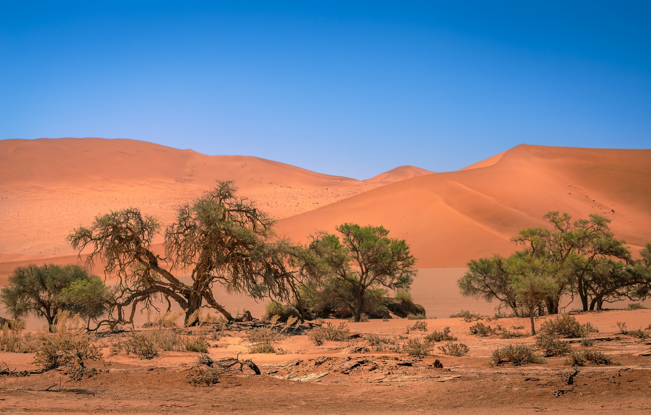 Photo Wallpaper Dunes, Africa, Namibia, Sands, Namibia, - Erg , HD Wallpaper & Backgrounds