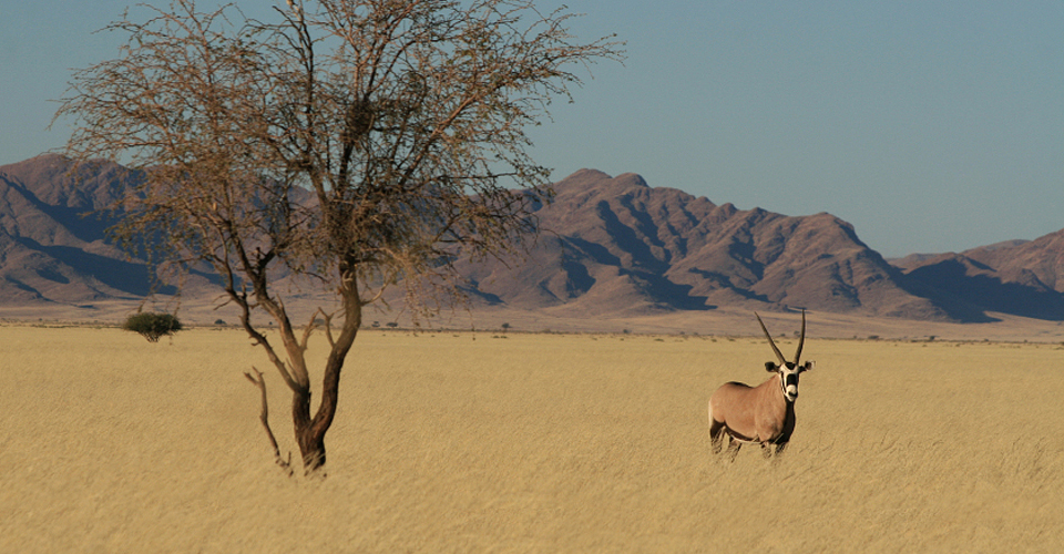 Namibia Wallpaper , HD Wallpaper & Backgrounds