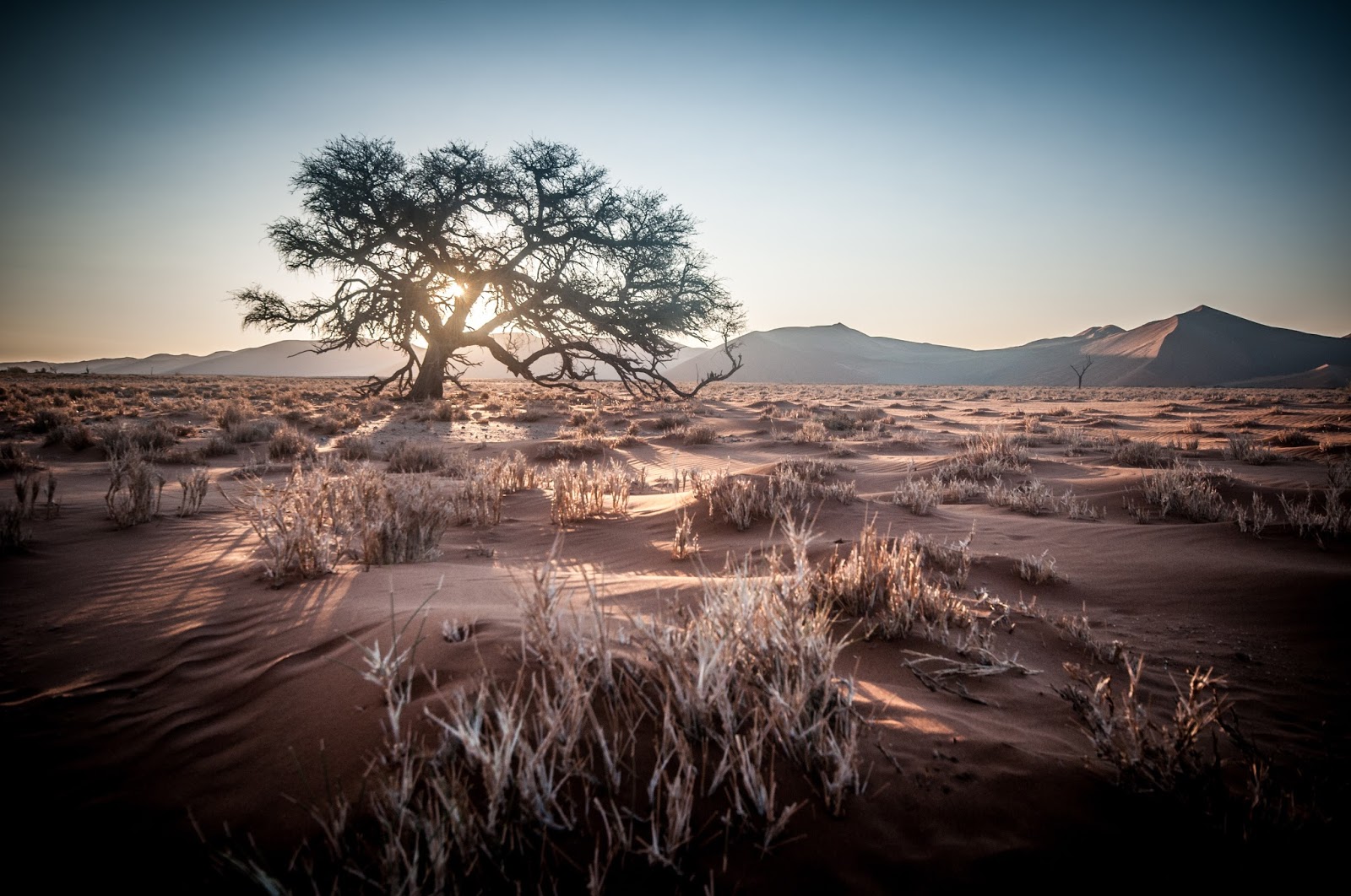 Namibia Africa Desert Sunrise - Namibian Landscapes , HD Wallpaper & Backgrounds