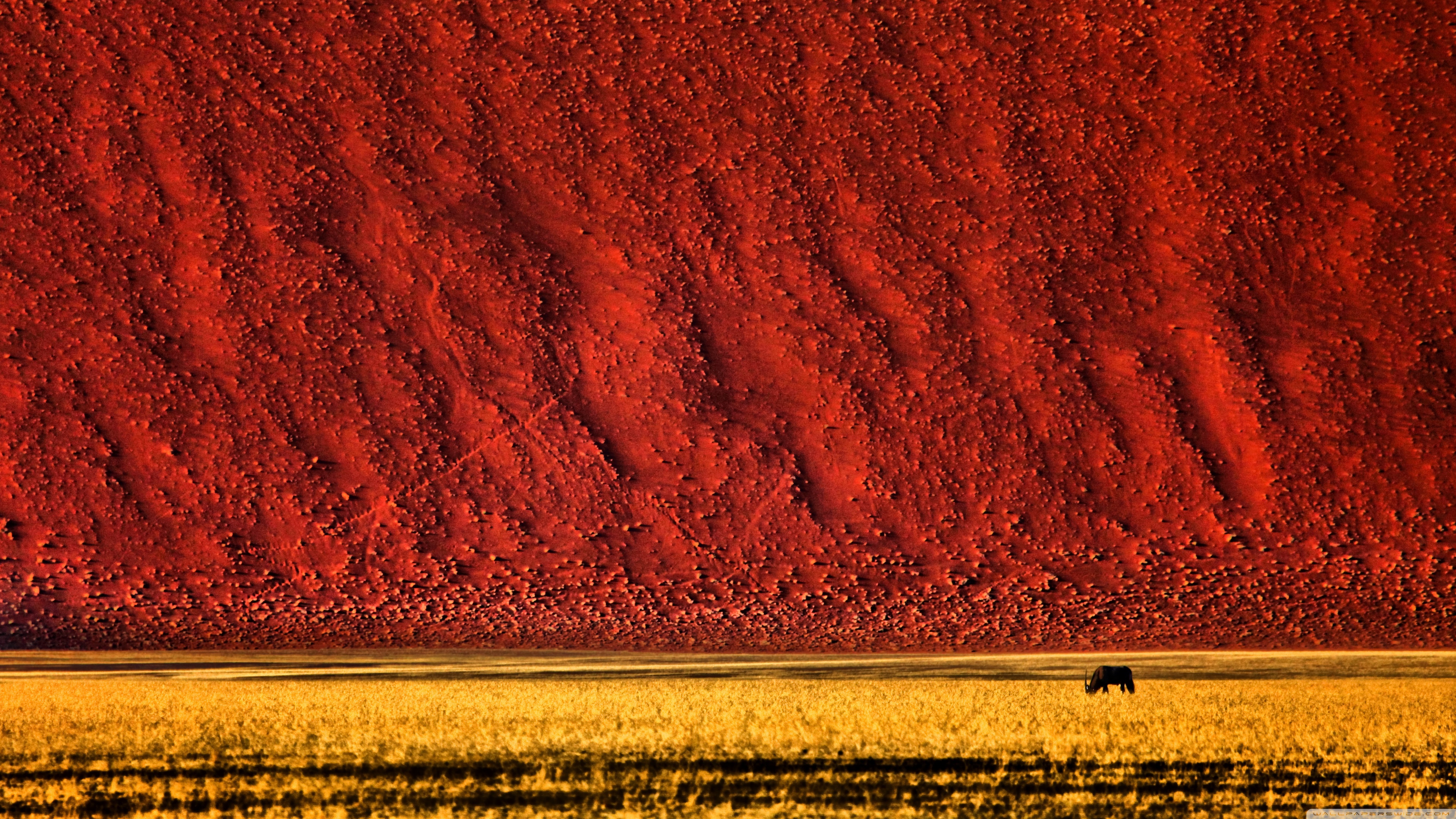 Uhd 16 - - Namibia 4k , HD Wallpaper & Backgrounds