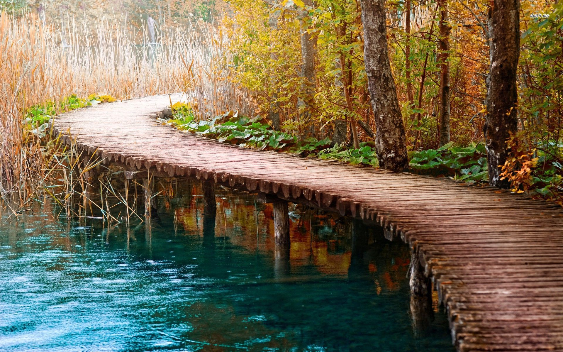 Beautiful Reflection At Lake Pier Wallpaper - Nature Wallpaper Wooden Bridge , HD Wallpaper & Backgrounds
