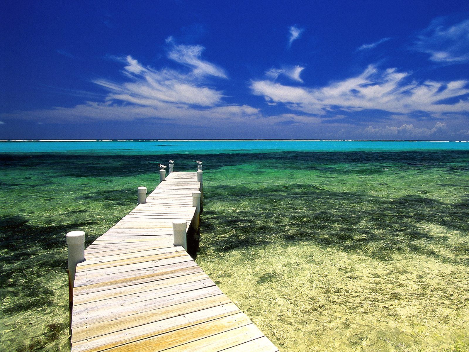 Paradise Pier Grand Cayman Wallpaper - Grand Cayman 4k , HD Wallpaper & Backgrounds