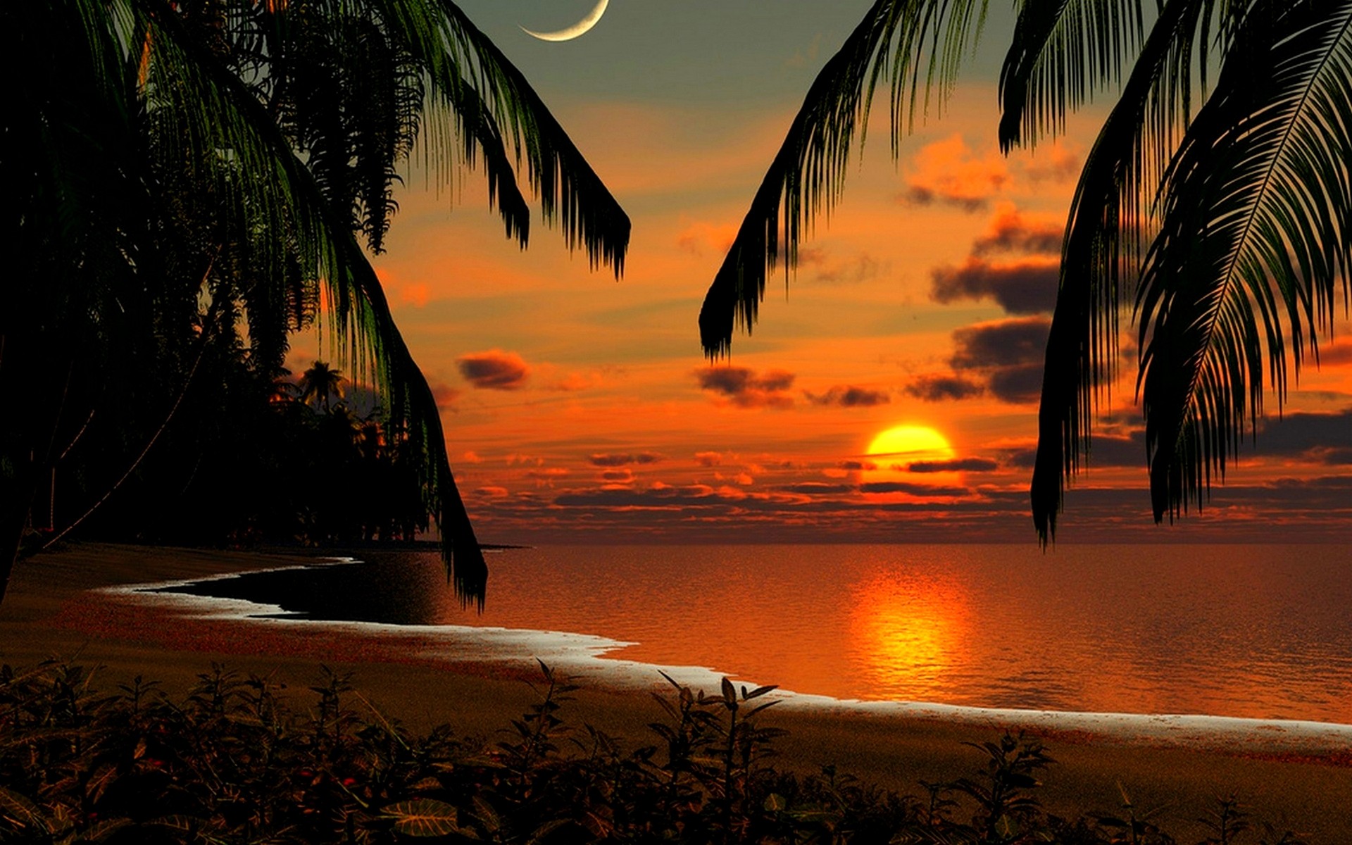 Mesmerizing Sunset Ocean Sky Coast Clouds Beach Palms - Ocean Sun And Moon , HD Wallpaper & Backgrounds