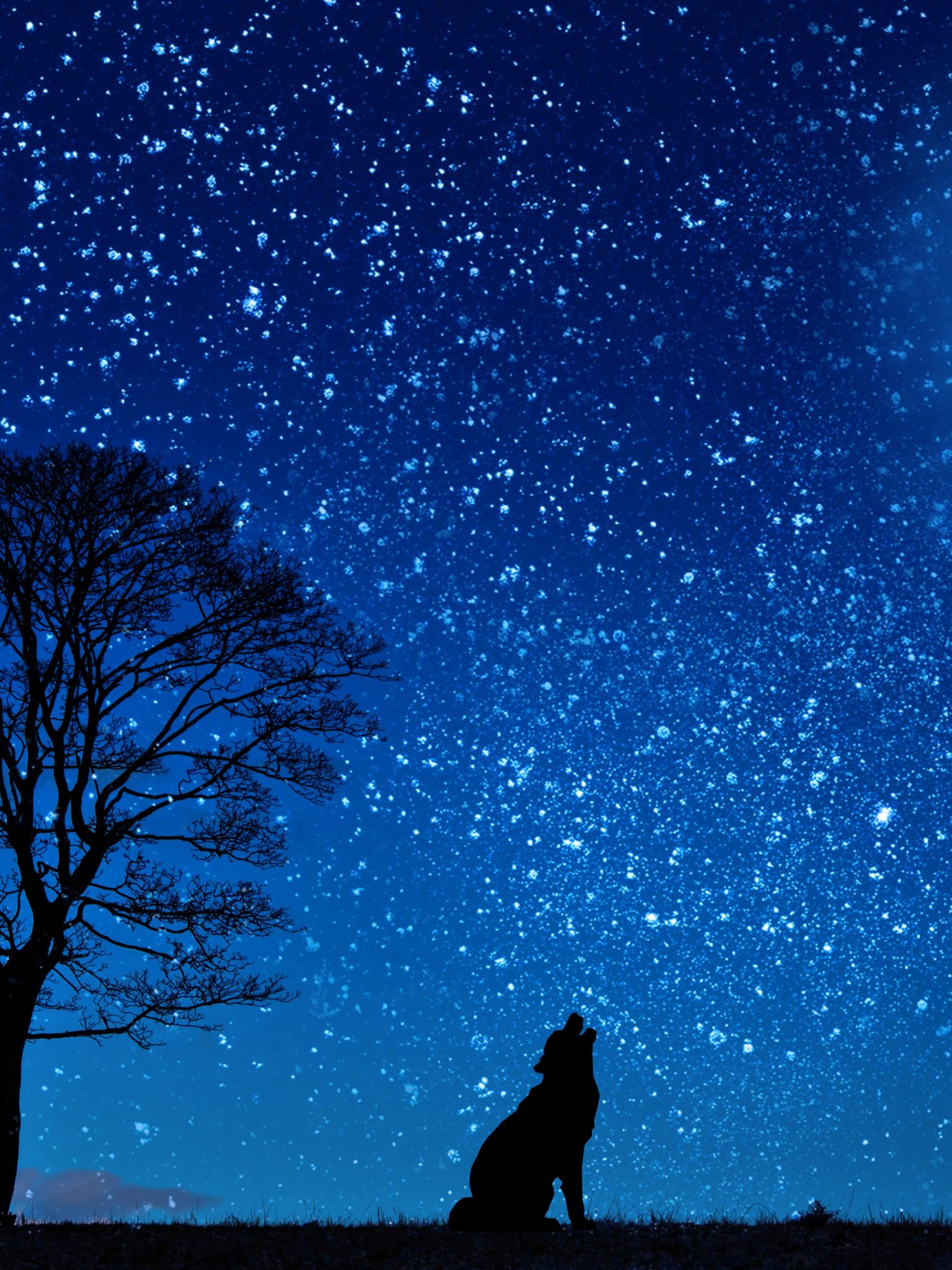 Press The Download Button To Save, Or - Lua E Estrelas Papel De Parede , HD Wallpaper & Backgrounds