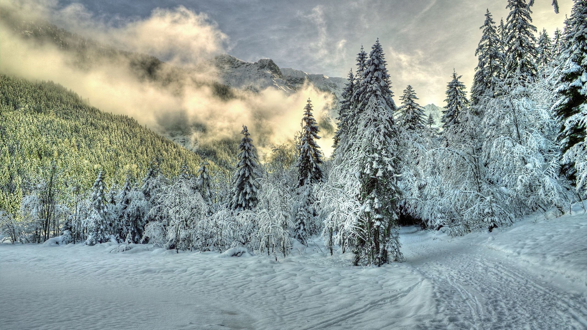 Paysage Hiver Hd , HD Wallpaper & Backgrounds