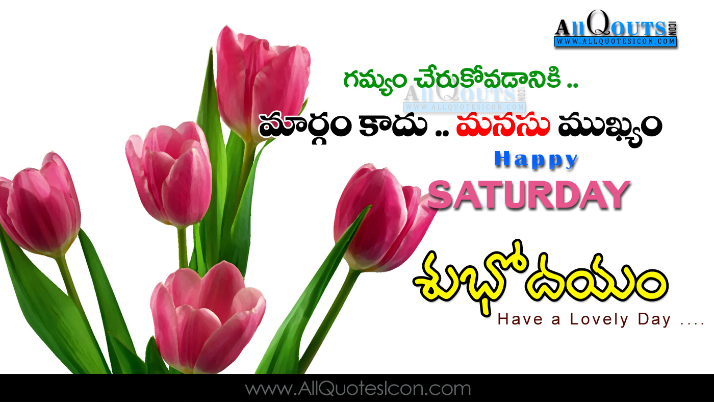 Happy Saturday Images Best Telugu Good Monring Quotes - Tulip Dark Pink Png , HD Wallpaper & Backgrounds