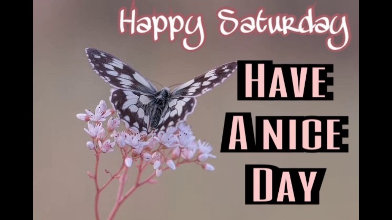 Happy Saturday Images Wallpaper Weekend Wishes - Good Morning Colourful Butterfly , HD Wallpaper & Backgrounds