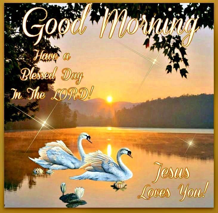 Jesus Good Morning Wallpaper - Good Morning Image With Lord , HD Wallpaper & Backgrounds