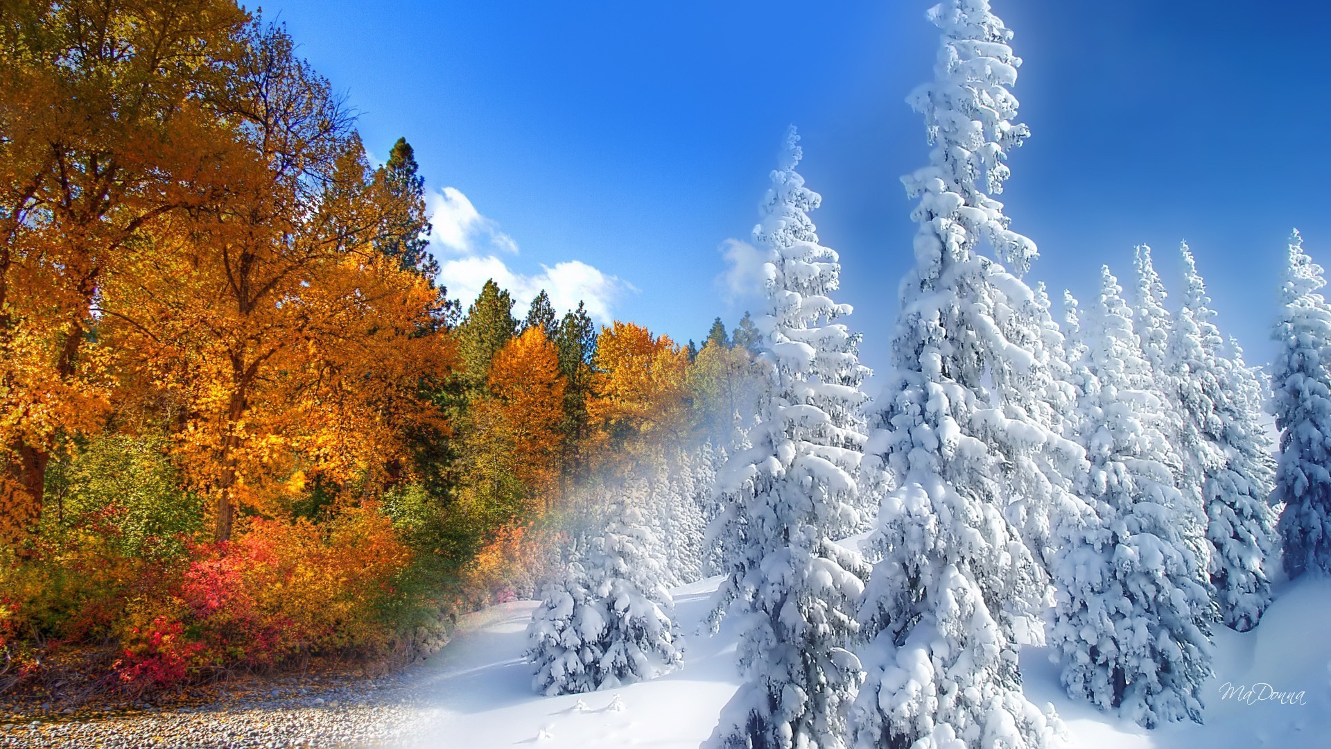 Automne À L'hiver Wallpaper - Fall Winter , HD Wallpaper & Backgrounds