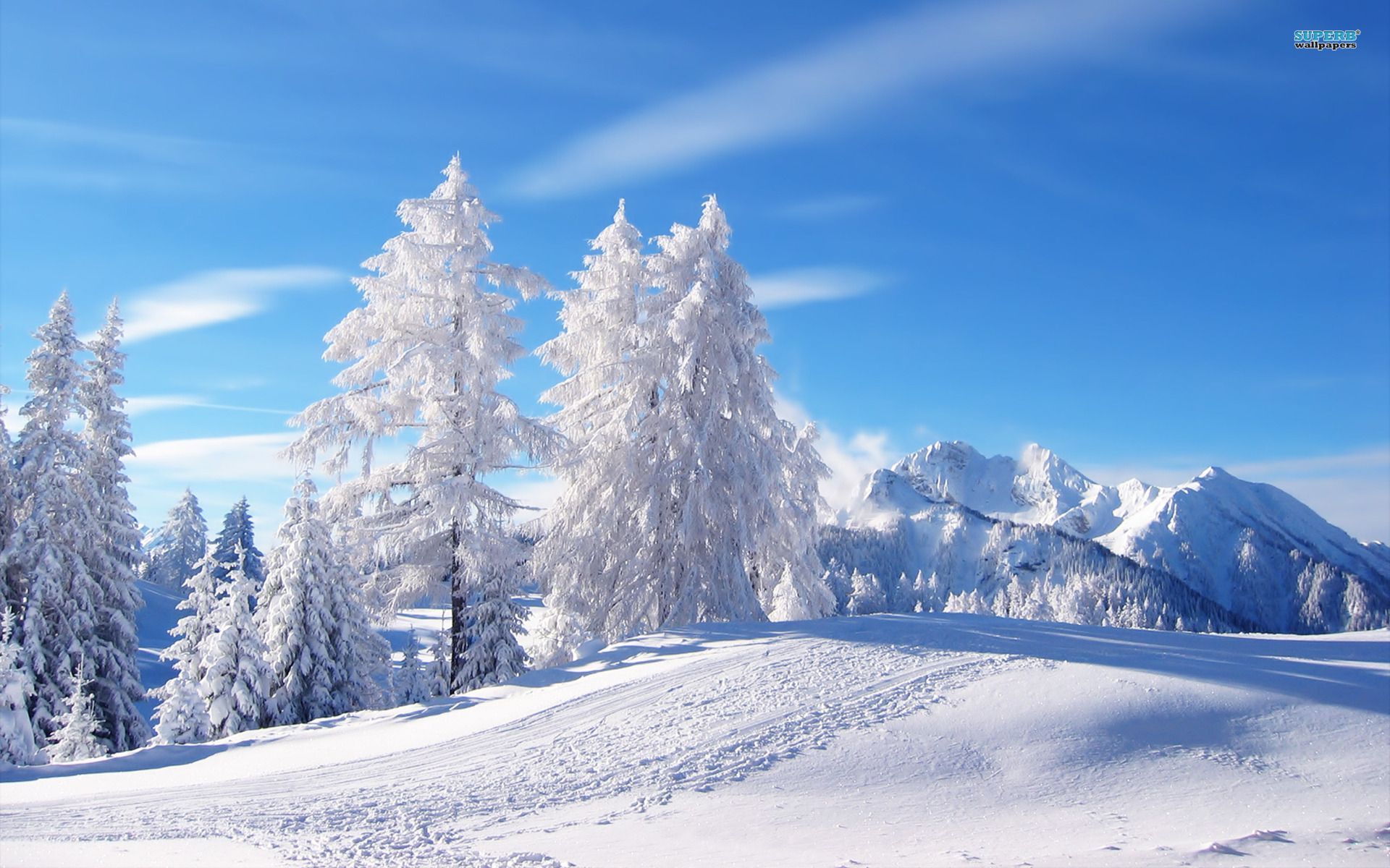 Wallpaper Neige - Nature Winter Wallpapers Hd 1080p , HD Wallpaper & Backgrounds