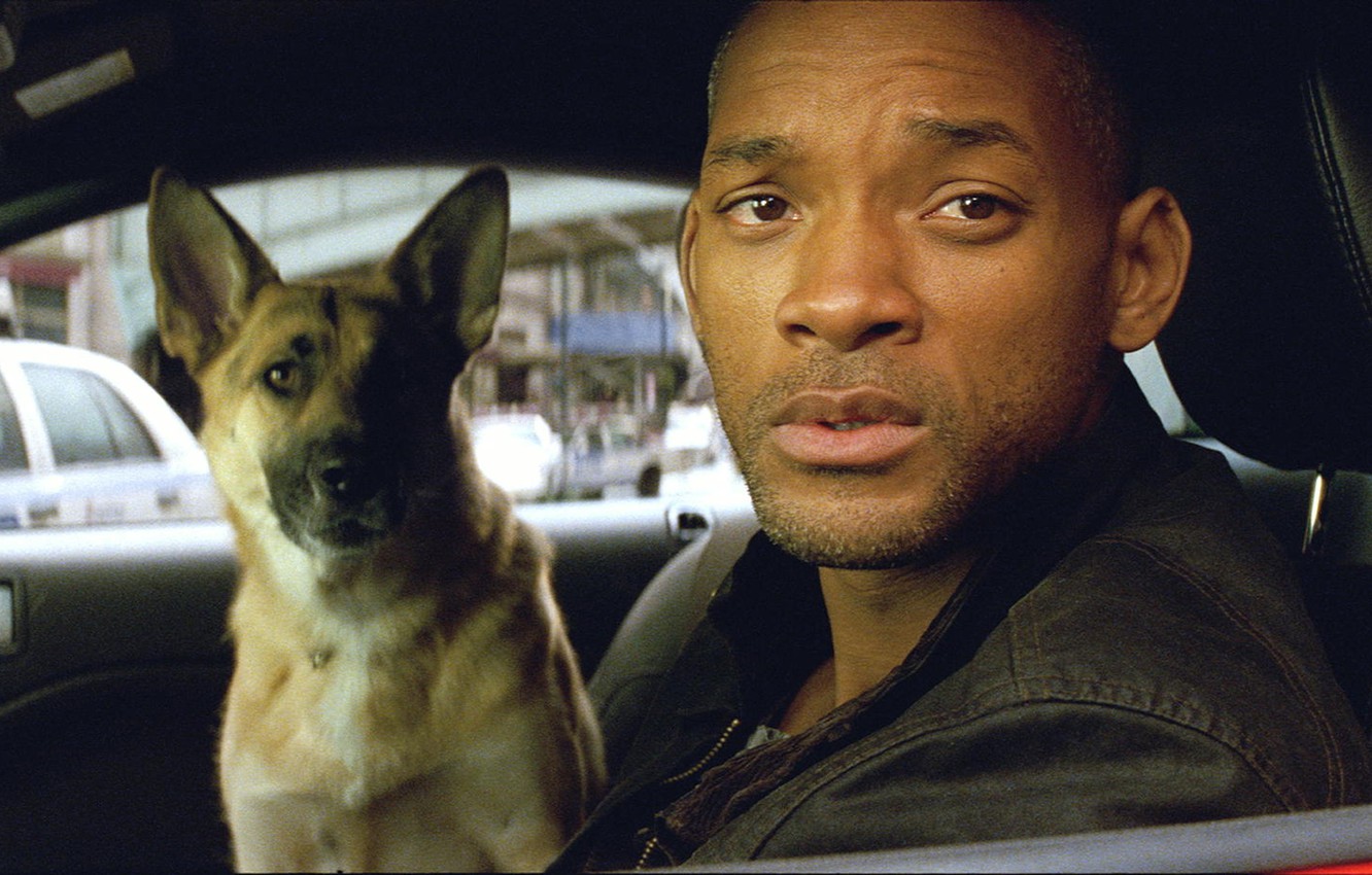 Photo Wallpaper Will Smith, Sam, I Am Legend, Will - Will Smith And Sam , HD Wallpaper & Backgrounds