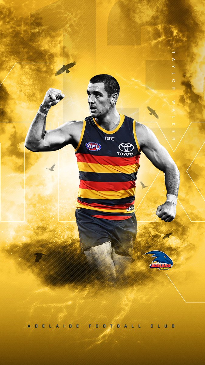 Adelaide Crowsverified Account - Adelaide Crows , HD Wallpaper & Backgrounds