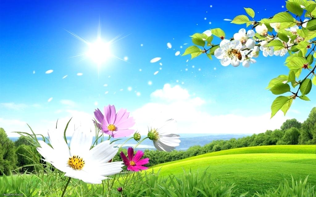 Wallpapers Hd Widescreen High Quality Desktop Nature - Spring Scene , HD Wallpaper & Backgrounds