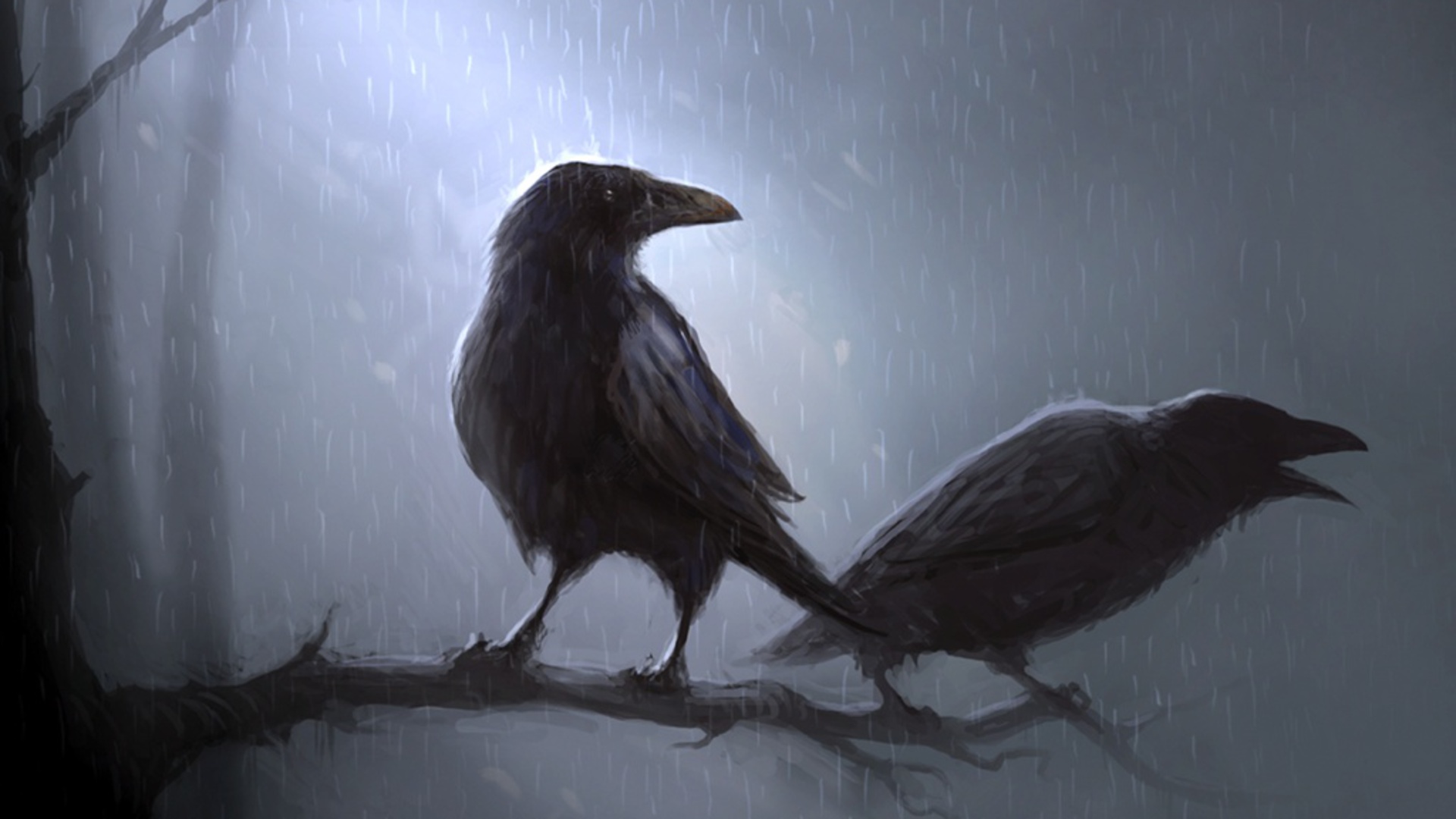 Crows Wallpapers-19 , HD Wallpaper & Backgrounds