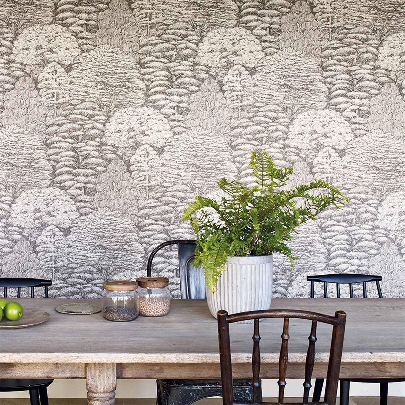 Sanderson Woodland Toile Wallpaper - Sanderson Wallpaper Woodland Walk , HD Wallpaper & Backgrounds
