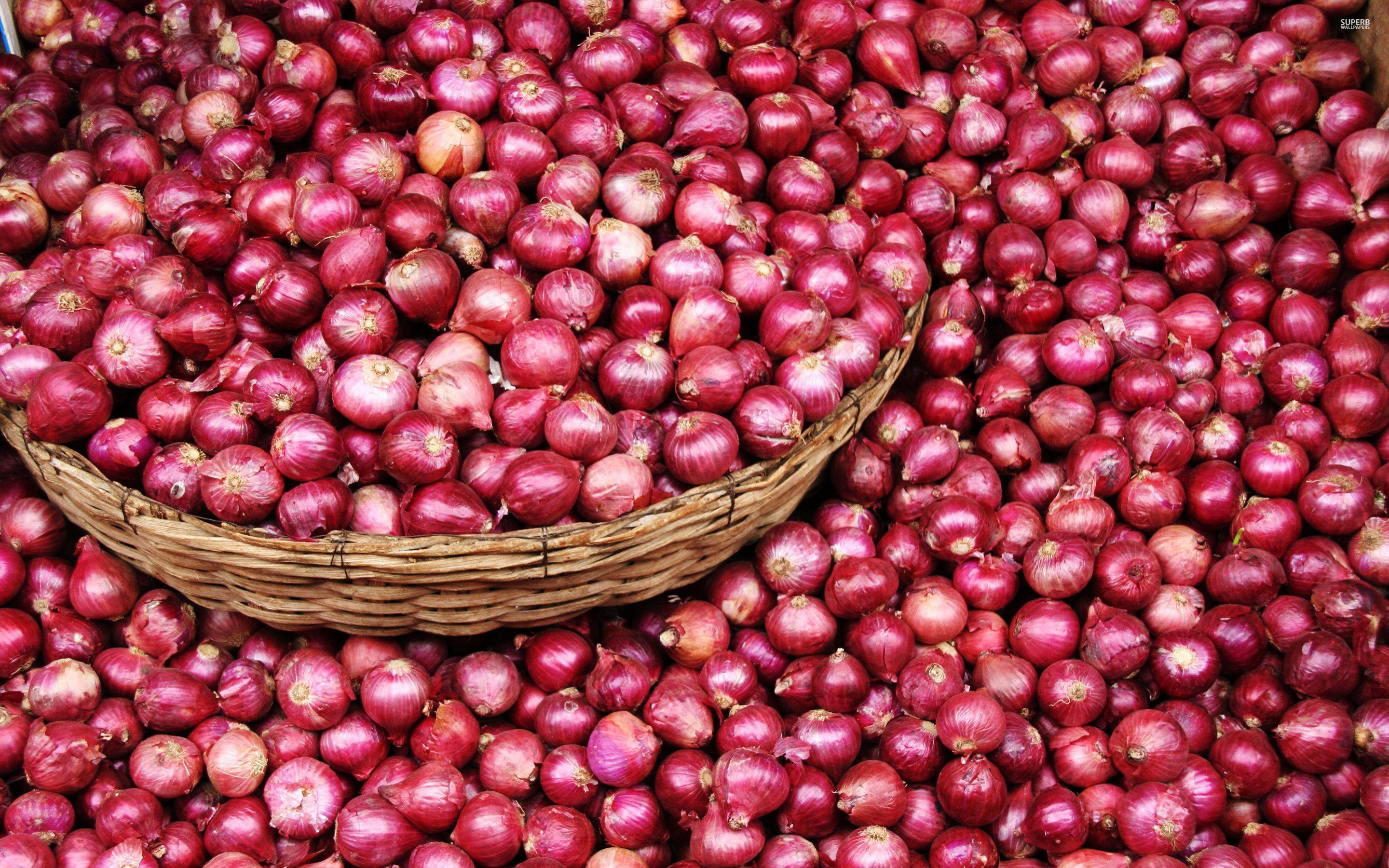 Red Onion Wallpapers - Red Onion , HD Wallpaper & Backgrounds