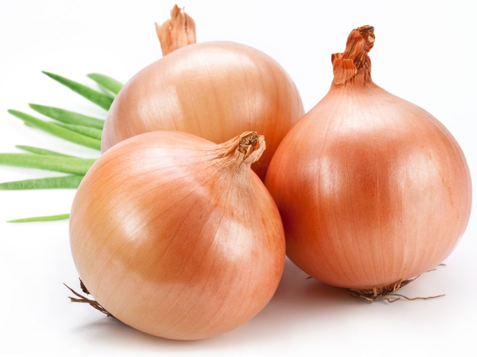 Common Onion Picture - Onion Png , HD Wallpaper & Backgrounds