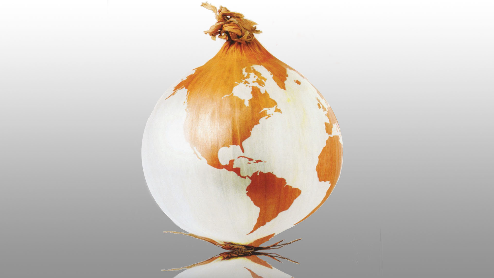 The Onion Inspired, “literally Unbelievable” - World Onion , HD Wallpaper & Backgrounds