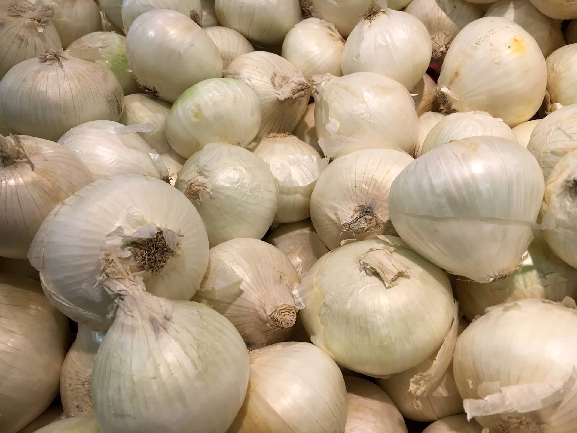 Garlic, Spice, Food, Health, Onion, Vegetable, Cooking, - Bawang Putih Bawang Merah Rempah , HD Wallpaper & Backgrounds