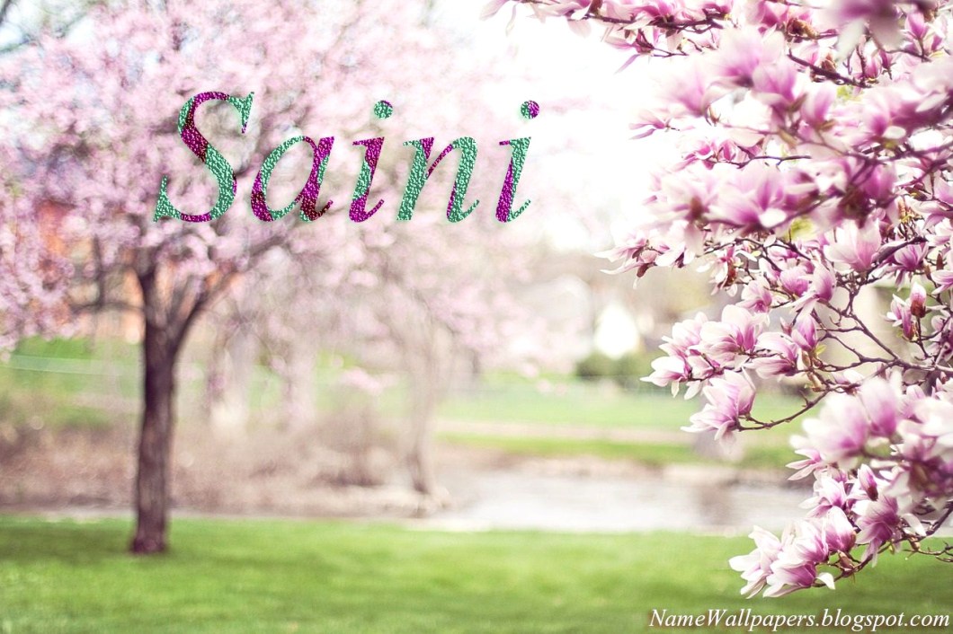 Sajid Name Wallpaper - Cherry Blossom Background Hd , HD Wallpaper & Backgrounds