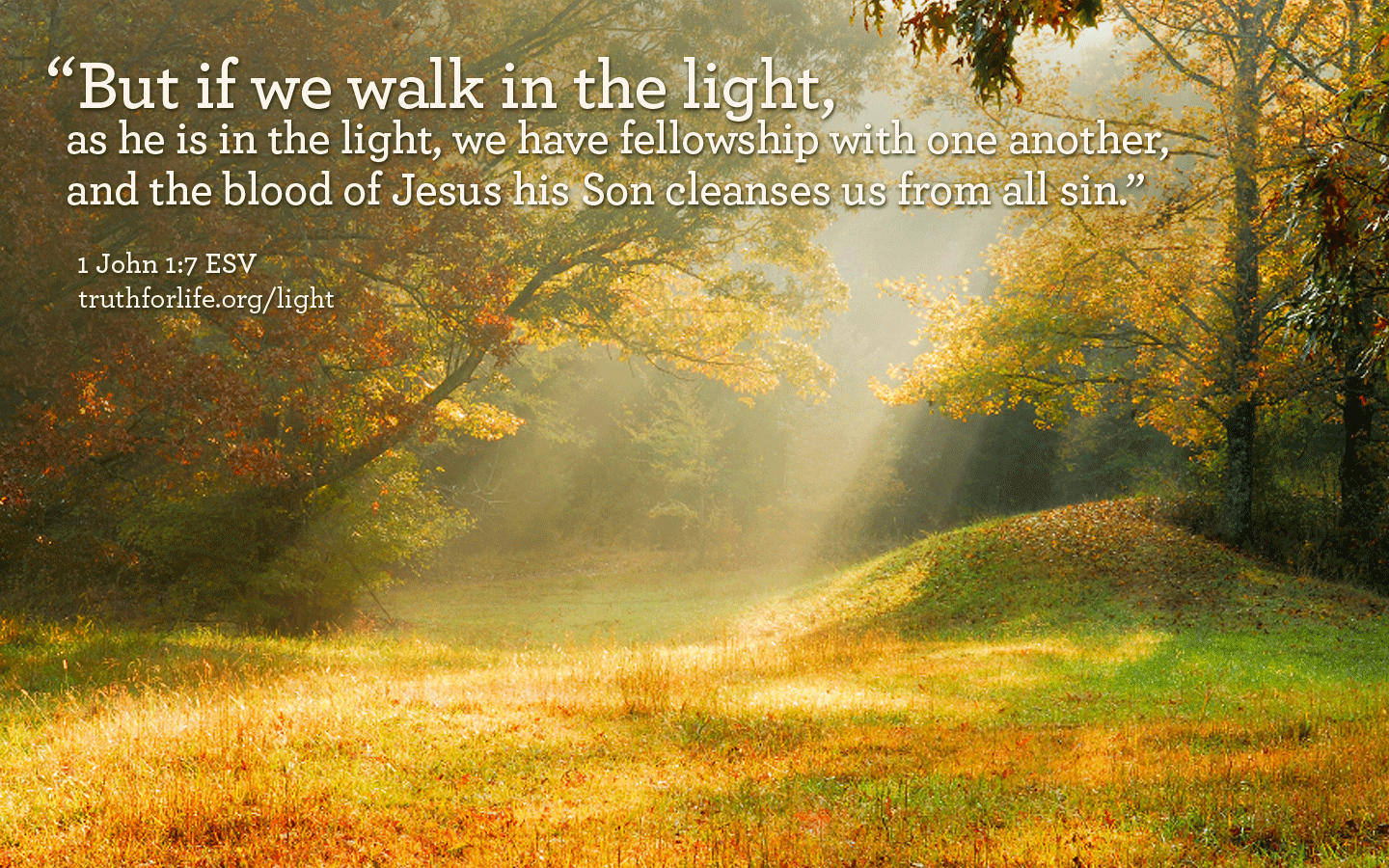 Truth For Life Wallpaper - We Walk In The Light Of God , HD Wallpaper & Backgrounds