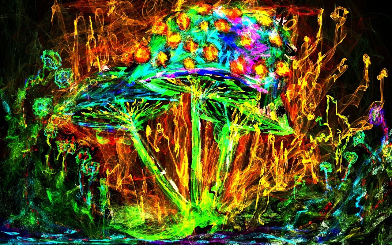 #colorful, #psychedelic, #mushroom, Wallpaper - Psychedelic Mushroom , HD Wallpaper & Backgrounds