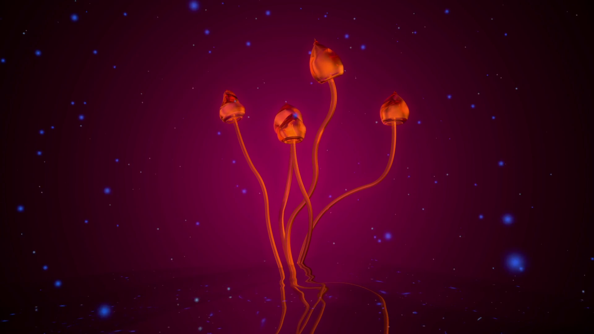 Animation Of The Magic Mushroom Psilocybe Semilanceata - Illustration , HD Wallpaper & Backgrounds