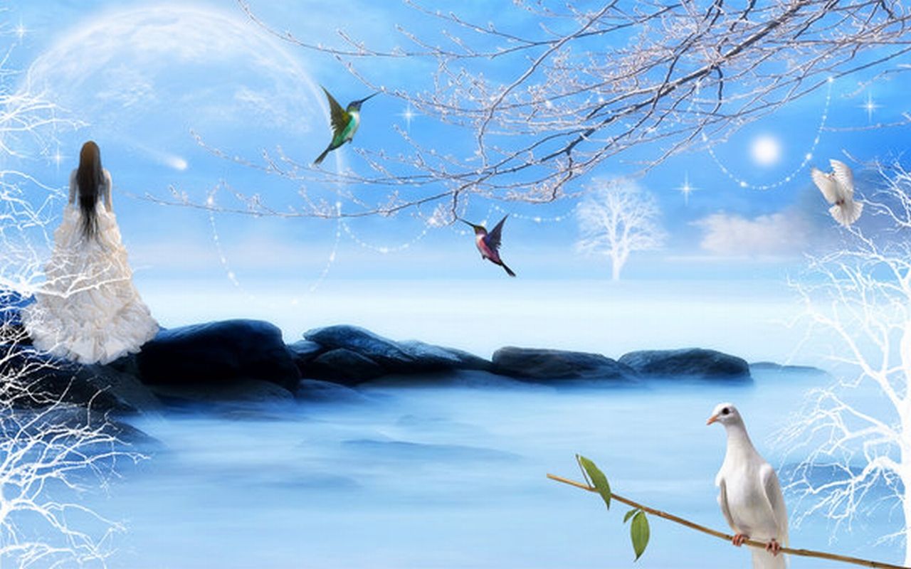 Catch A Falling Star By Welshdragon, Birds, Blue, Catch, - Fantasy Wallpaper Fairy Land , HD Wallpaper & Backgrounds