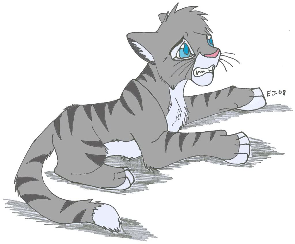 Swiftclan Of Falling Stars Images Jaystar Is Sad D - Warrior Cats Blind Cats , HD Wallpaper & Backgrounds