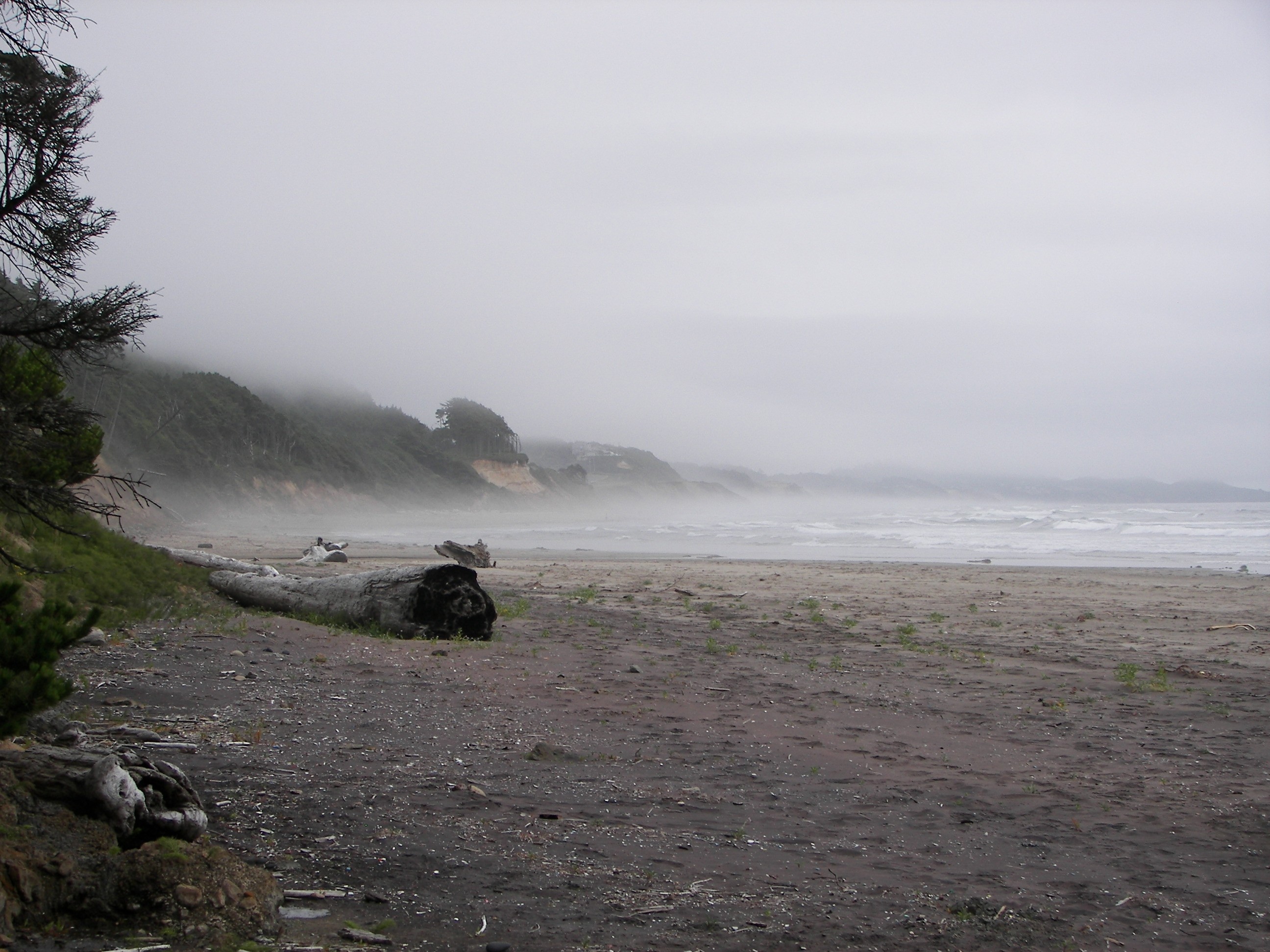 Орегон побережье туман. Орегон в тумане. Несмотря на хорошую погоду берег