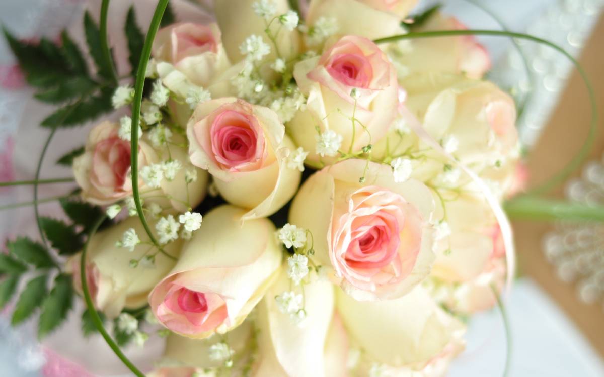Flower, Plant, White, Rose, Flower Arranging Wallpaper - White Rose Wallpaper For Desktop , HD Wallpaper & Backgrounds