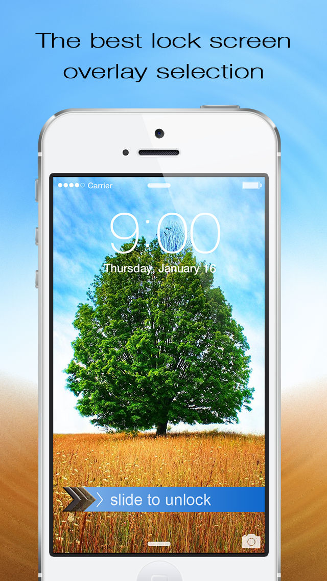 App Description - Field With A Single Tree , HD Wallpaper & Backgrounds
