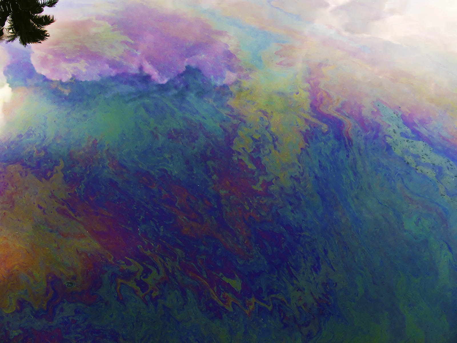 I - Oil Slick Colours , HD Wallpaper & Backgrounds