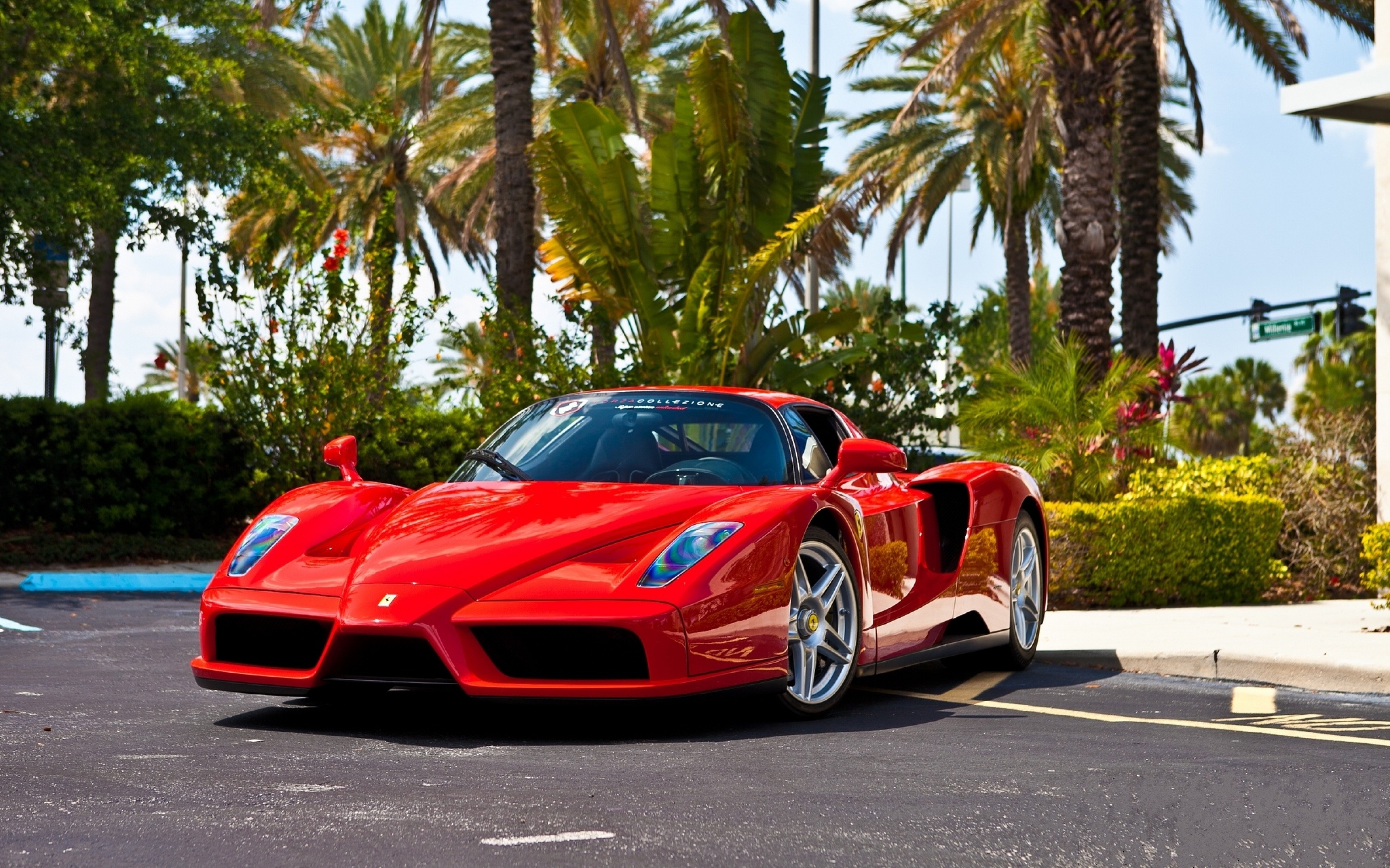 Hd Quality Images Of Ferrari Enzo , HD Wallpaper & Backgrounds