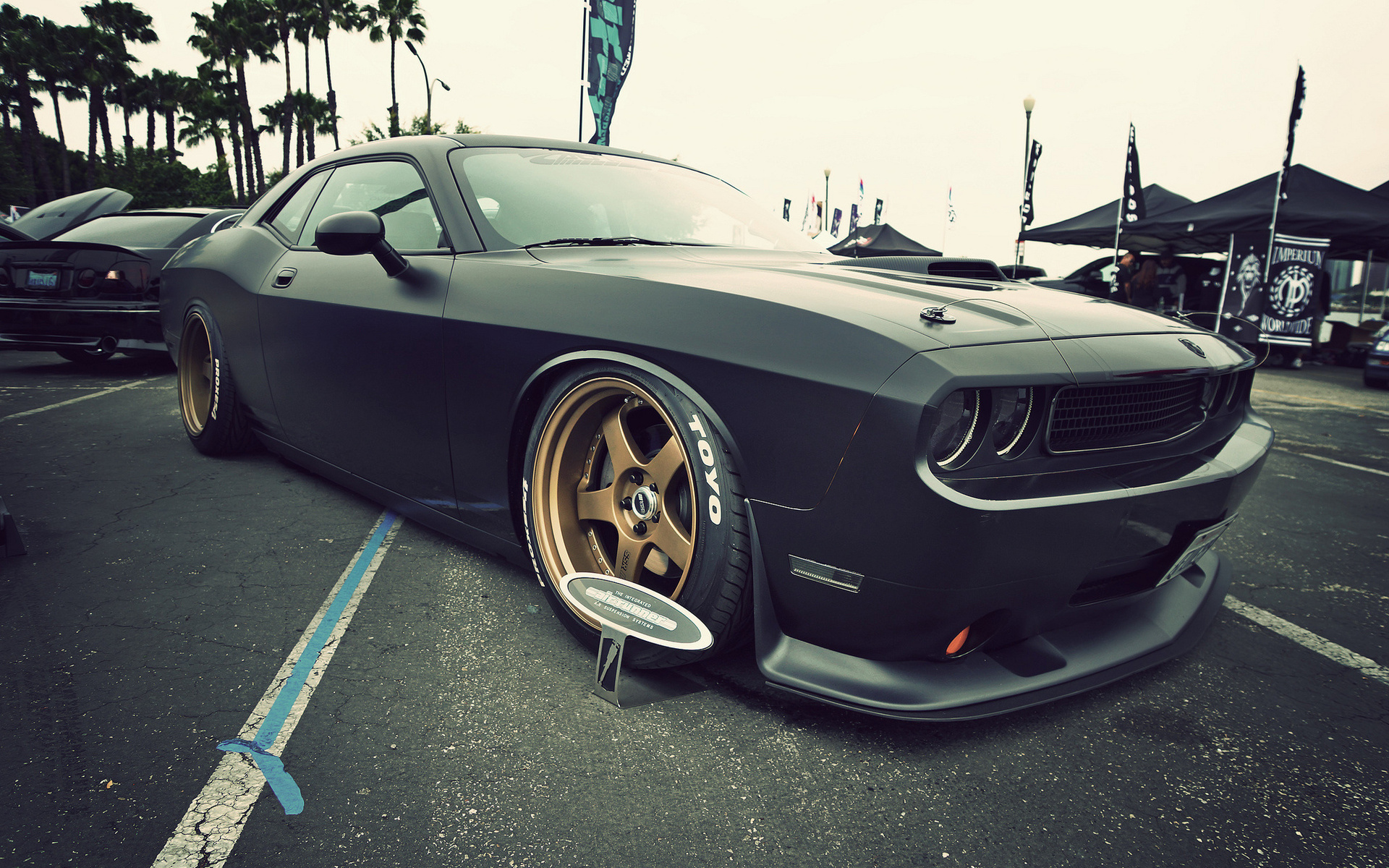 Dodge, Challenger, Vehicles, Cars, Custom, Exotic, - تصویر زمینه ماشین برای کامپیوتر , HD Wallpaper & Backgrounds