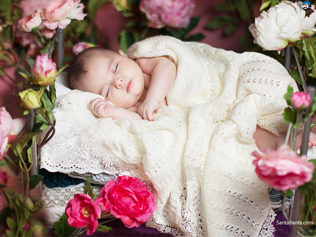 Baby - Good Morning Flowers Baby , HD Wallpaper & Backgrounds