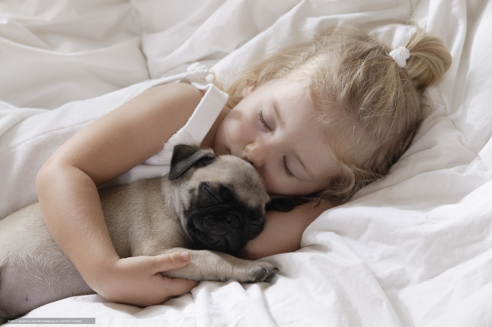 Download Wallpaper Girl, Puppy, Pug, Sleep Free Desktop - Cute Babies With Their Pets , HD Wallpaper & Backgrounds