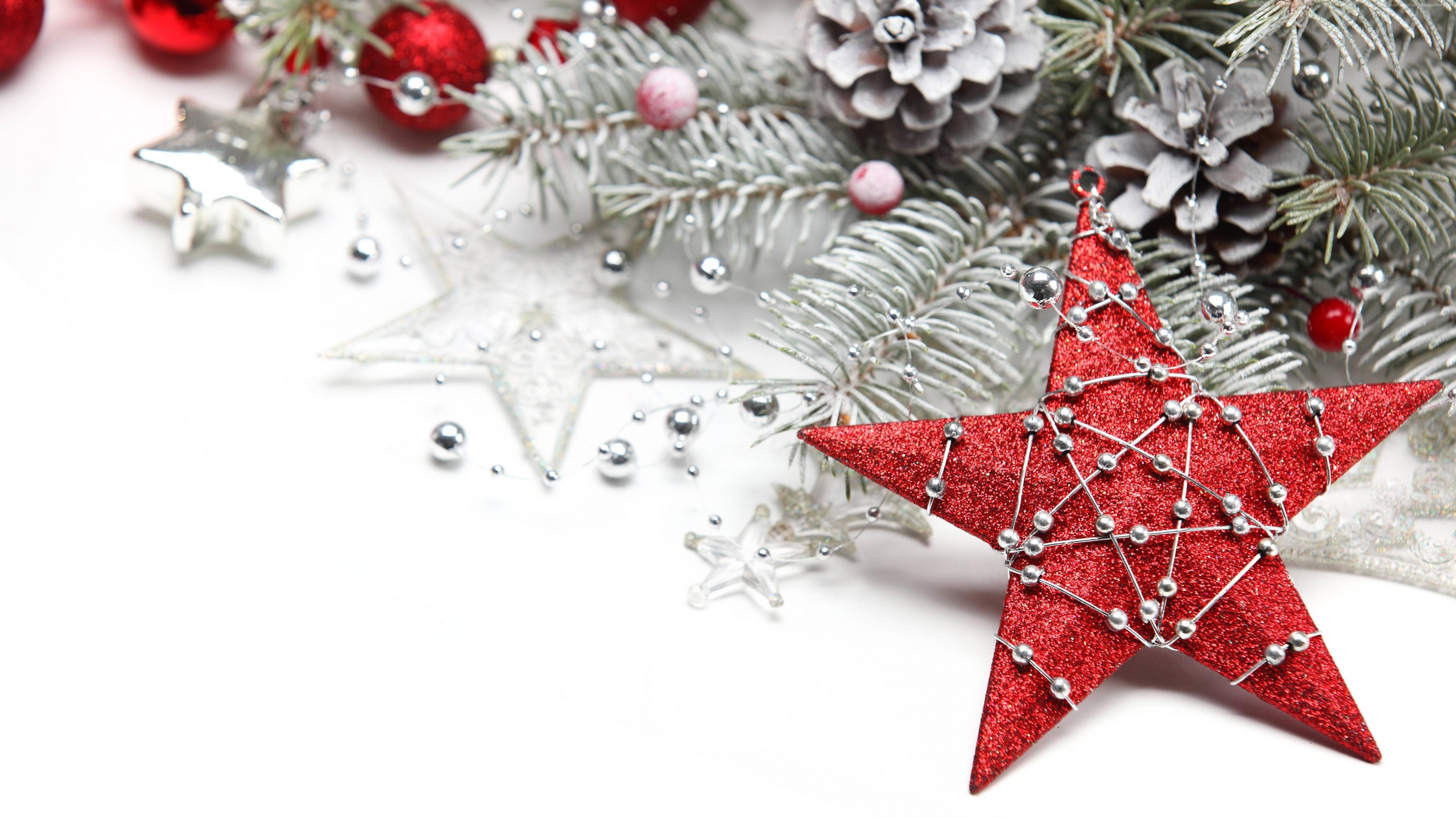 Red Christmas Star In Festive Decor Wallpapers And - Christmas Dps For Whatsapp , HD Wallpaper & Backgrounds